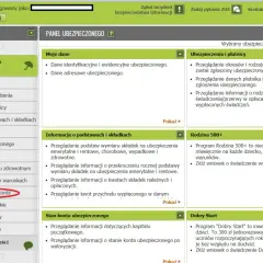 Jak łatwo sprawdzić przynależność do OFE czy ZUS - Poradnik