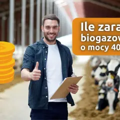 Ile można zarobić na biogazowni - realne zyski i okres zwrotu inwestycji