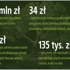 Ile można zarobić na czarno w Polsce: Realne stawki w różnych branżach