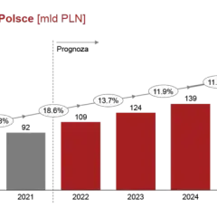 Oto polski e-commerce! Jak błyskawiczny wzrost zmieni handel?