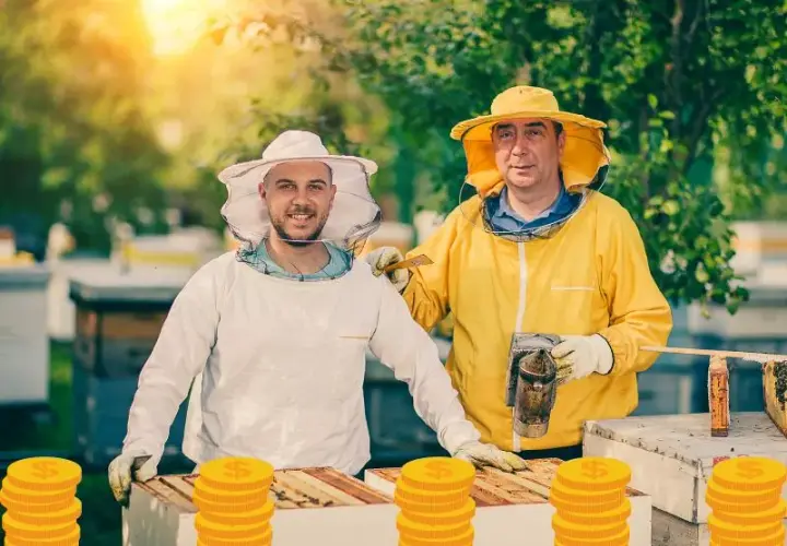 Ile można zarobić na miodzie? Realna analiza zysków z własnej pasieki