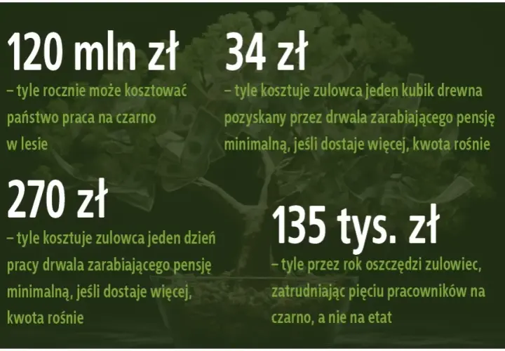 Ile można zarobić na czarno w Polsce: Realne stawki w różnych branżach
